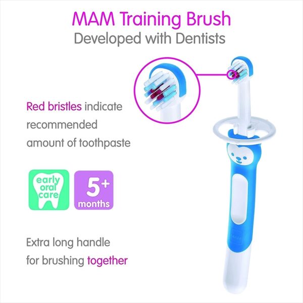 MAM TRAINING BRUSH GIRL - Image 2